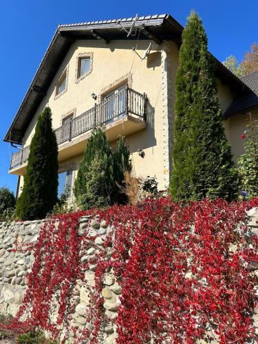 a house with a garden of red flowers in front of it at Dumbrava Ursului in Zărneşti