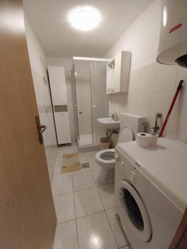 a bathroom with a toilet and a washing machine at Apartman Seka in Senj