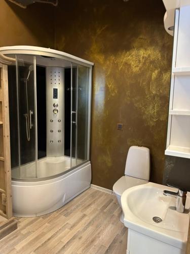 a bathroom with a shower and a toilet and a sink at Villa Bach in Valgeranna
