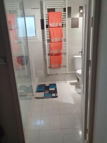 une salle de bain avec une douche en verre et des toilettes dans l'établissement La Maison du Druide, à Bonneuil-en-Valois