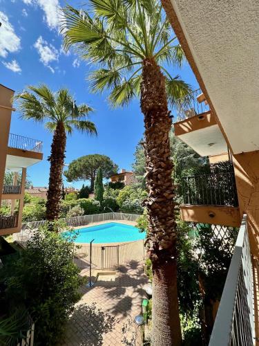 un palmier à côté d'une piscine dans l'établissement 208 - Piscine et Soleil à Grimaud, à Grimaud