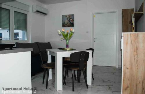 Fotografie z fotogalerie ubytování Apartman Soko 2 v destinaci Soko Banja