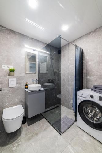 a bathroom with a shower toilet and a washing machine at Grey Apartments in Šiauliai
