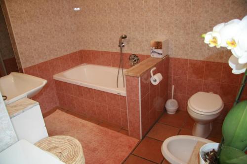 a bathroom with a tub and a toilet and a sink at Appartamento sul Lago di Molveno in Molveno