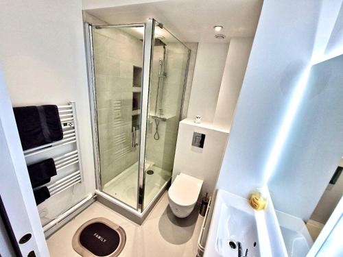 un bagno con doccia, WC e lavandino di Nouvel appart cosy, centre Tours a Tours
