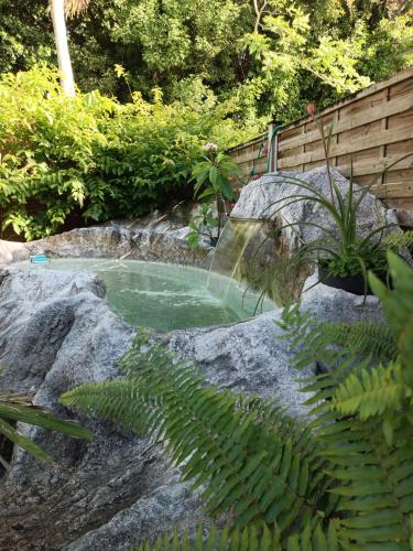 a small pool of water on top of a rock at TIKI PARADISE LODGE FWI in Sainte-Anne