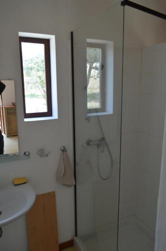 une salle de bain avec une douche avec un lavabo et une fenêtre dans l'établissement Ailleursland, à Montalba-le-Château