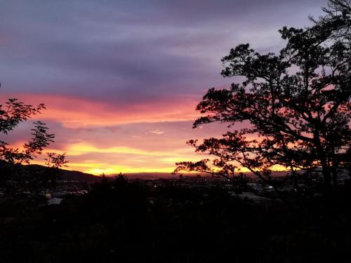 a sunset with a tree in the foreground at Casa Marlui-San José in Curridabat