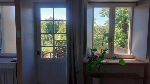 una ventana en una habitación con vistas a un árbol en Studio 20mn Puy du fou et Hellfest, en Le Longeron