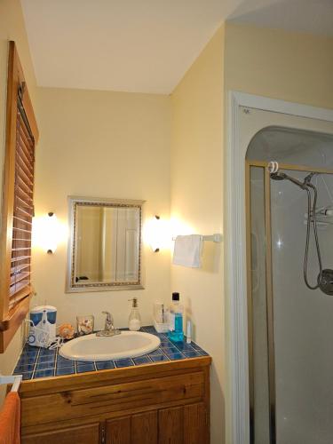 y baño con lavabo, espejo y ducha. en Oceanfront Garden Cottage - private cove beach, en Chester