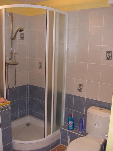 une salle de bain avec douche et toilettes dans l'établissement Studio Festival 1, à Avignon