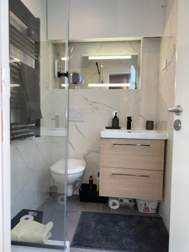 une salle de bain avec un lavabo, des toilettes et un miroir dans l'établissement APPARTEMENT*GARE DE L'EST-PARIS 10, à Paris