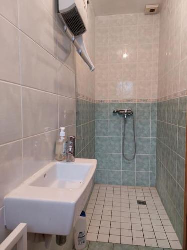 W łazience znajduje się biała umywalka i prysznic. w obiekcie Villa dans vaste jardin arboré w Aix-les-Bains