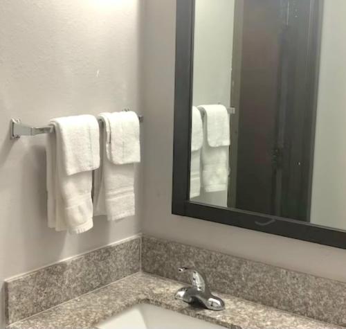 a bathroom with a sink and a mirror and towels at Quality Inn Dublin I-81 in Dublin