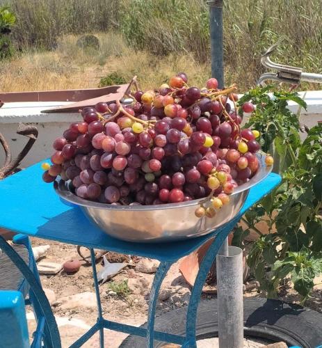 a large bowl of grapes on a table at Peristeronas in Liaropá
