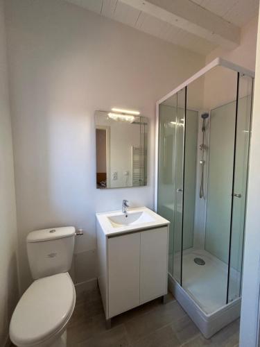 a bathroom with a toilet and a sink and a shower at Le charme à la campagne dans toulousaine de 1900 in Bouloc