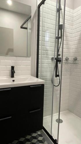 une salle de bain avec un lavabo et une douche dans l'établissement Sublime T2, entièrement rénové, à Toulouse