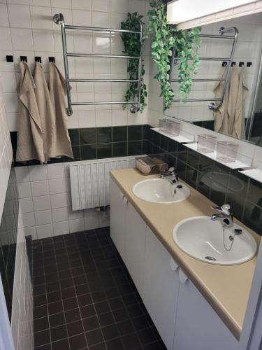 uma casa de banho com 2 lavatórios e um espelho em Ellivuori Resort Paradise em Sastamala