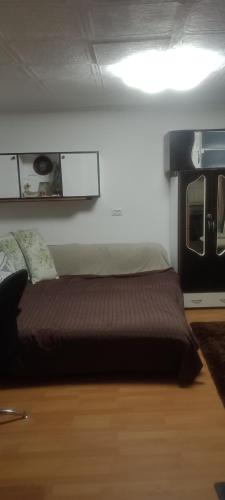 um quarto com uma cama num quarto em Garsoniera Copou em Iaşi