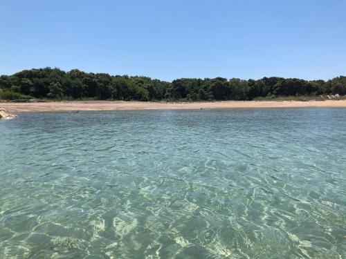 Φωτογραφία από το άλμπουμ του Apartman Gajac near Zrce σε Gajac