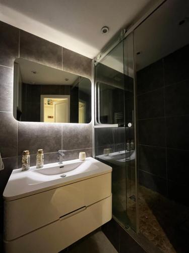 une salle de bain avec un lavabo et une douche en verre dans l'établissement Charmant Studio terrasse Cannes, à Cannes