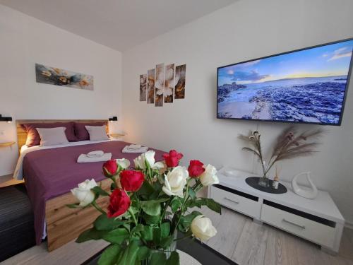 Apartman Studio Nicky