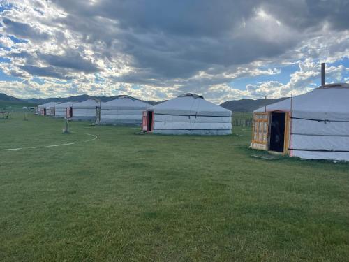 a row of white tents in a field with grass at Windhorse Tours and Hostel in Ulaanbaatar