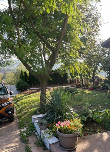 a yard with some plants and a tree and a car at Naš san in Vrdnik