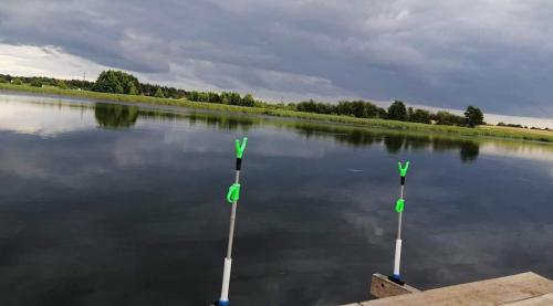 two paddles in the water on a lake at Agroturystyka Chruściele in Ełk