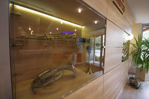a glass wall with a reflection of a saxophone at Hotel Vadászkürt Superior in Székesfehérvár