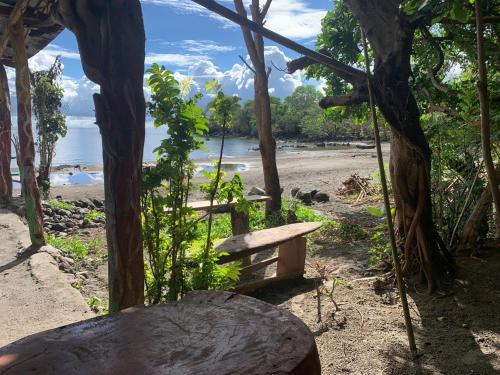 una panchina sulla spiaggia con vista sull'oceano di Casa de la playa la Malinche a Santa Cruz