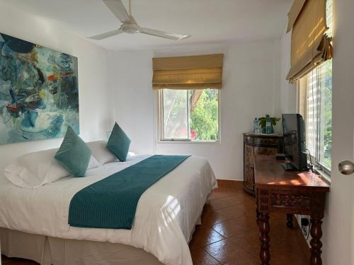 a bedroom with a bed and a television and a window at Hotel Los Palomos in Lunahuaná