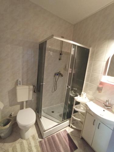 uma casa de banho com um chuveiro, um WC e um lavatório. em Zajazd Mieszko em Opole