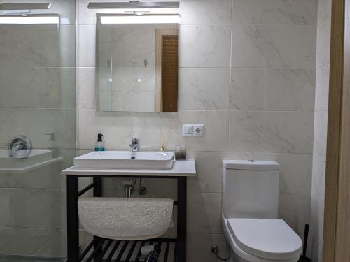 a bathroom with a sink and a toilet and a mirror at Begaso Family Winery in Kvareli