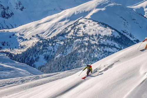 a person skiing down a snow covered mountain at Bear Lodge, Whistler Village - Spectacular Location on Village Stroll, Designer Remodel in Whistler