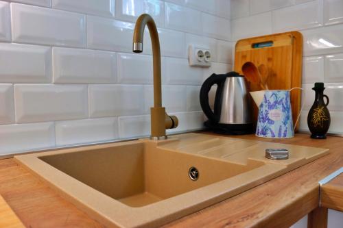 a kitchen sink with a faucet on a counter at Holiday house Silvana in Ždrelac