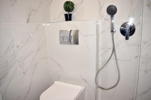 ein weißes Badezimmer mit Dusche und WC in der Unterkunft Fotini's Studios 1 in Toroni