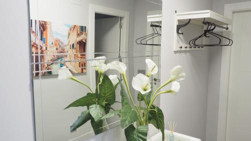 La salle de bains est pourvue d'un miroir et d'une plante. dans l'établissement Bonito apartamento en centro ciudad con garaje, à Albacete