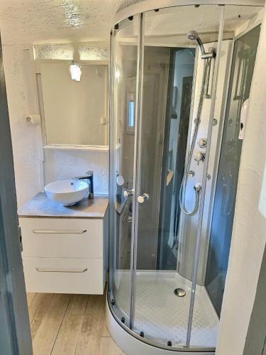 une salle de bain avec douche et lavabo dans l'établissement WonderHost, la Suite de Margot en hypercentre, à Pau