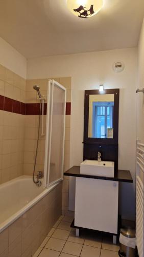 une salle de bain avec un lavabo et une baignoire dans l'établissement T3 centre-ville Bagnères-de-Luchon, à Luchon