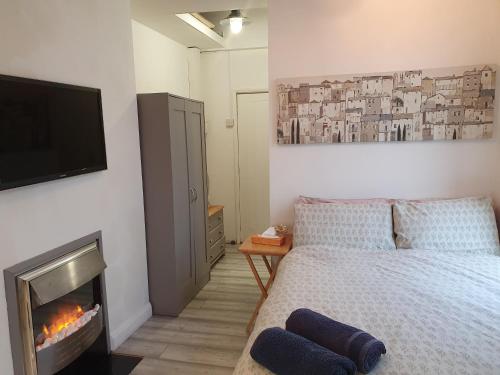 普里茅斯的住宿－4Alma St，一间卧室配有一张床、一台电视和一个壁炉