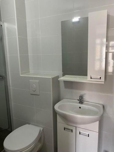 ヴルシャツにあるSandra apartmani 4の洗面台、トイレ、鏡のあるバスルーム