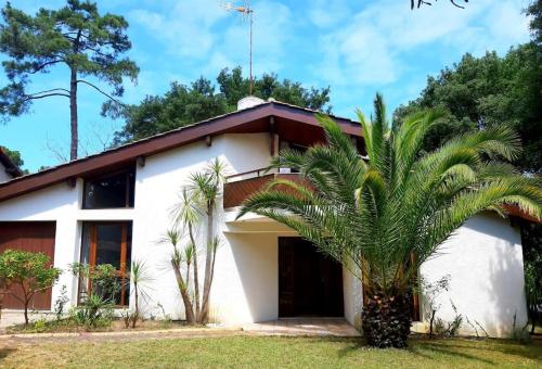 Villa de 6 à 8 pers à Seignosse Le Penon