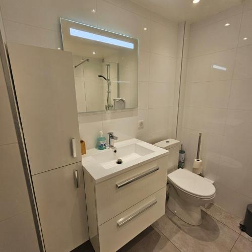 une salle de bain avec toilettes, lavabo et miroir dans l'établissement Studio Cannes le Val D'or Chez Lisa, à Cannes