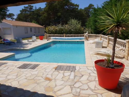 einen Pool mit einer Palme im Hof in der Unterkunft Chalet au calme avec piscine et grand jardin in Plan dʼAups