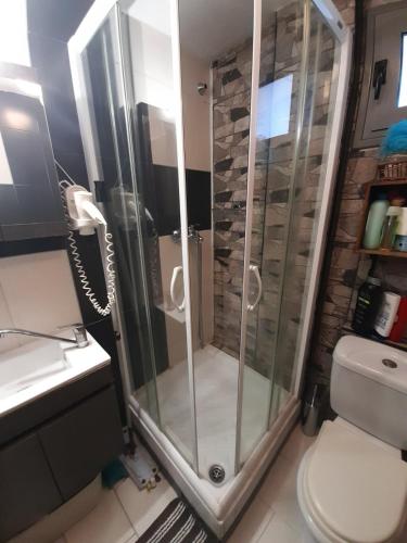 a shower in a bathroom with a toilet and a phone at Isaias house in Rhodes Town