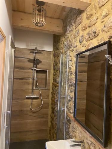 une salle de bain avec une douche, un lavabo et un miroir dans l'établissement La maison de campagne, à Églisolles