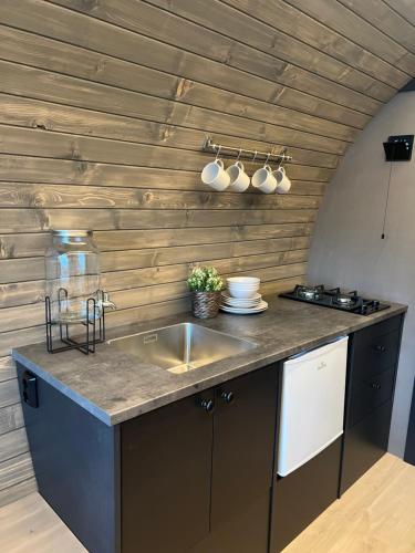eine Küche mit einem Waschbecken und einer Holzwand in der Unterkunft Dreamy Barrel in Ljotegard
