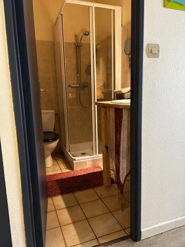 een badkamer met een douche en een toilet bij Le Gast, Vaumeilh in Vaumeilh