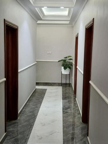 a hallway with a plant in the middle of a room at FourPoints Lodge in Lilongwe